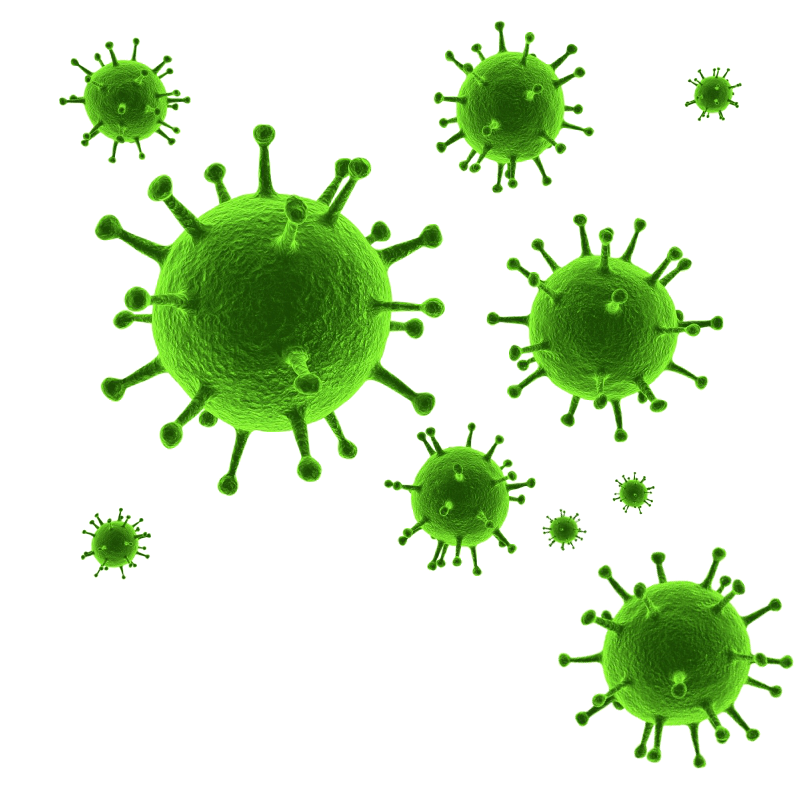 virus_PNG20 virus_PNG20